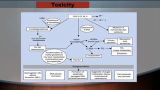 Toxicity
 