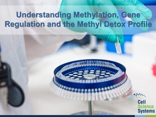Understanding Methylation, Gene
Regulation and the Methyl Detox Profile
 