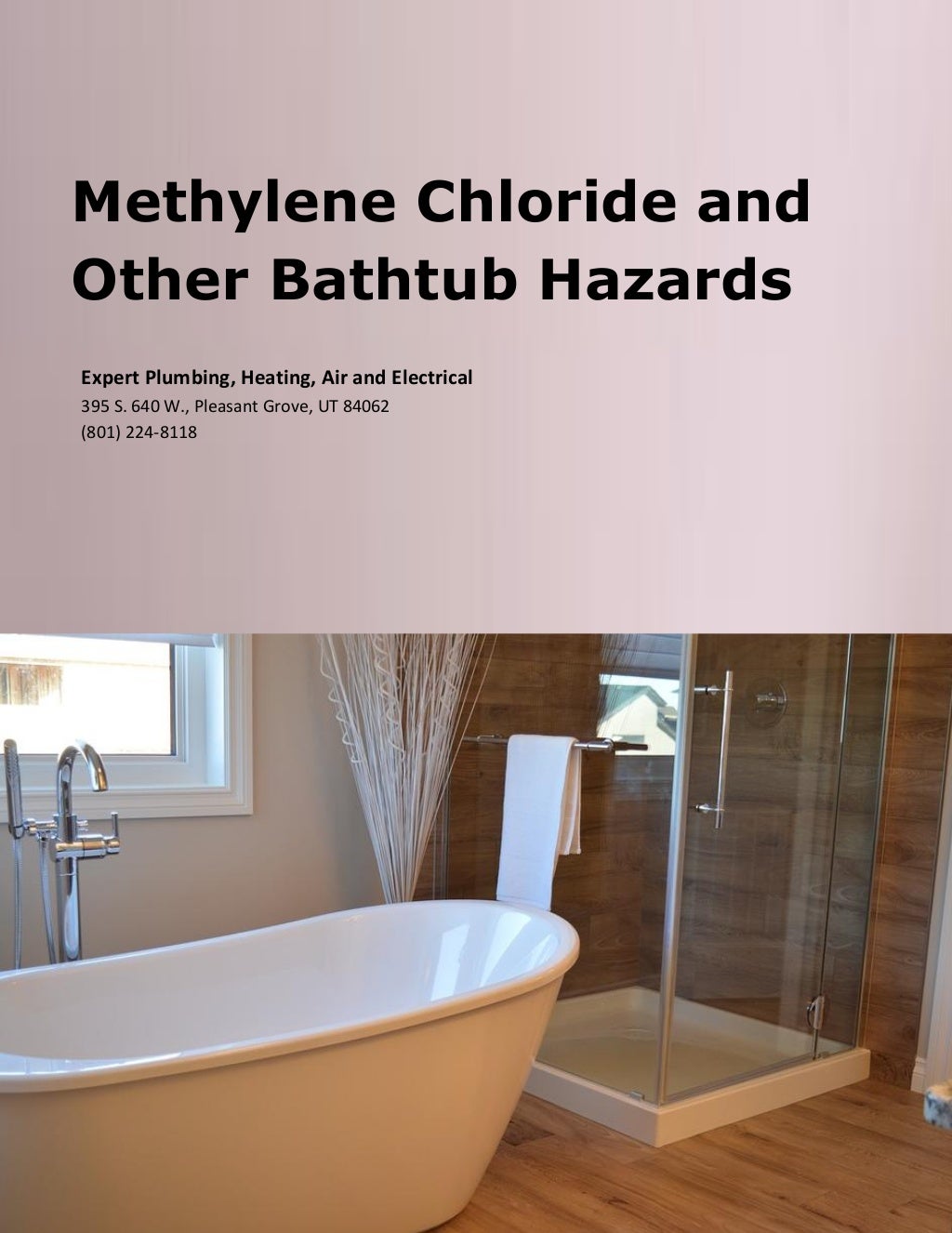 Methylene Chloride and Other Bathtub Hazards