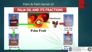 Avila Naturalle - FACTS ON PALM KERNEL OIL ° ° For years, so many people  have always given credit to the use of Palm kernel oil because of it's  healing properties. •