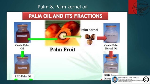 Episode 46 : PRODUCTION OF OLEOCHEMICAL METHYL ESTER FROM RBD PALM