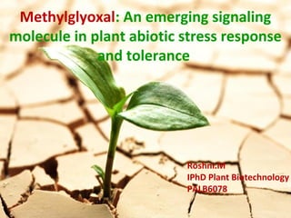 Methylglyoxal: An emerging signaling
molecule in plant abiotic stress response
and tolerance
Roshni.M
IPhD Plant Biotechnology
PALB6078
 