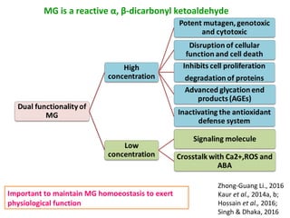 Methylglyoxal ppt | PPT