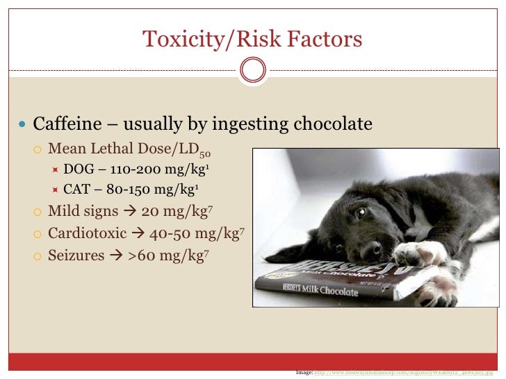 Methylzanthine Toxicities Er Rotation Presentation 9 17 09