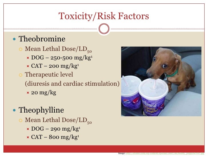 Methylzanthine Toxicities Er Rotation Presentation 9 17 09