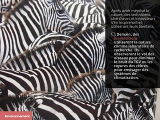 Environnement
Après avoir méprisé la
nature, des techniciens,
chercheurs et innovateurs
s’en inspireront et
utiliseront leurs bienfaits.
Demain, des
biométiciens
utiliseront la nature
comme laboratoire de
recherche. Ils
observeront le vol des
oiseaux pour diminuer
le bruit du TGV ou les
rayures des zèbres
pour envisager des
systèmes de
climatisation.
 