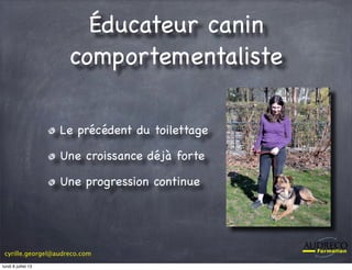 cyrille.georgel@audreco.com
Éducateur canin
comportementaliste
Le précédent du toilettage
Une croissance déjà forte
Une progression continue
lundi 8 juillet 13
 