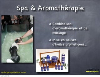 cyrille.georgel@audreco.com
Spa & Aromathérapie
Combinaison
d’aromathérapie et de
massage
Mise en oeuvre
d’huiles aromatiques...
lundi 8 juillet 13
 