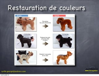cyrille.georgel@audreco.com
Restauration de couleurs
lundi 8 juillet 13
 
