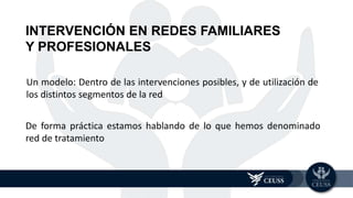 INTERVENCIÓN EN REDES FAMILIARES
Y PROFESIONALES
Un modelo: Dentro de las intervenciones posibles, y de utilización de
los distintos segmentos de la red
De forma práctica estamos hablando de lo que hemos denominado
red de tratamiento
 