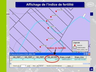 Affichage de l’indice de fertilité




                                          28
                                     28
 