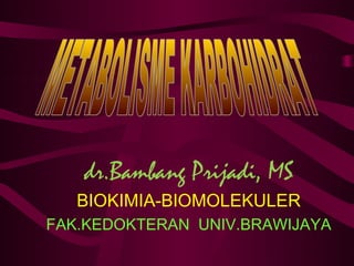 dr.Bambang Prijadi, MS
   BIOKIMIA-BIOMOLEKULER
FAK.KEDOKTERAN UNIV.BRAWIJAYA
 