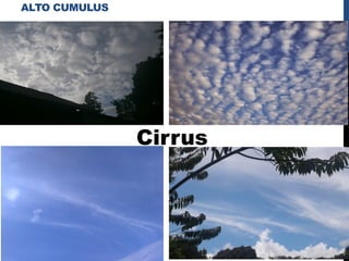ALTO CUMULUS
Cirrus
 
