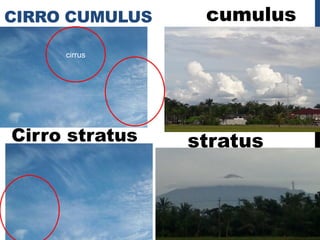 CIRRO CUMULUS cumulus
Cirro stratus stratus
cirrus
 