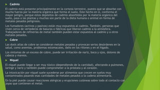  Cadmio
El cadmio está presente principalmente en la corteza terrestre, puesto que se absorbe con
mucha fuerza por la materia orgánica que forma el suelo. Este hecho en sí, conforma el
mayor peligro, porque estos depósitos de cadmio absorbidos por la materia orgánica del
suelo, pasa a las plantas y muchas son parte de la dieta humana o animal en forma de
metales pesados peligrosos.
Los fumadores (activos y pasivos) están muy expuestos al cadmio. También, personas que
viven cerca de vertederos de basuras o fábricas que liberan cadmio a la atmósfera.
Trabajadores de refinerías de metal también pueden estar expuestos al cadmio y a otros
metales pesados.
 Cobre
Las dosis altas de cobre se consideran metales pesados y provocan serios desórdenes en la
salud, como anemias, problemas estomacales, daño en los riñones y en el hígado.
Los síntomas de un exceso de cobre, puede ser irritación de nariz, boca y ojos, dolores de
cabeza y mareos.
 Níquel
El níquel puede llegar a ser muy tóxico (dependiendo de la cantidad), afectando a pulmones,
laringe y nariz y también puede comprometer a la próstata y al corazón.
La intoxicación por níquel suele sucederse por alimentos que crecen en suelos muy
contaminados pasando esas cantidades de metales pesados a la cadena alimentaria.
En la piel puede causar reacciones alérgicas y erupciones cutáneas sobre todo al contacto con
joyas que contienen el metal.
 