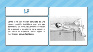 I.7
I.7
Como la 1.5 con flexión completa de una
pierna, posición inhibidora, que una vez
dominada, se lleva pasivamente a flexión
de la cadera y se retorna para apoyar el
pie sobre la superficie hasta lograr la
movilización activa (facilitación
 