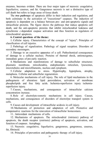 34
enzymes, becomes evident. There are four major types of necrosis: coagulative,
liquefactive, caseous, and fat. Gangrenous necrosis is not a distinctive type of
cell death but refers to large areas of tissue death.
The two pathways of apoptosis differ in their induction and regulation, and
both culminate in the activation of "executioner" caspases. The induction of
apoptosis is dependent on a balance between pro- and anti-apoptotic signals and
intracellular proteins. The figure shows the pathways that induce apoptotic cell
death, and the anti-apoptotic proteins that inhibit mitochondrial leakiness and
cytochrome c-dependent caspase activation and thus function as regulators of
mitochondrial apoptosis.
6. Control questions of the theme:
1. Cellular injury. Characteristics of the concept of “injury”. Principles of
classification of cell injuries.
2. Pathology of signalization. Pathology of signal reception. Disorders of
secondary messеngers.
3. Damage to an executive apparatus of a cell. Pathochemical consequences
of damage to a cellular nucleus. Proteins of thermal shock, antioncogenes,
immediate genes of pre-early reaction.
4. Mechanisms and manifestations of damage to subcellular structures:
plasmatic membrane, mitochondria, endoplasmatic reticulum, lysosomes,
microtubules and microfilaments, nucleus and cytoplasm.
5. Cellular adaptation to stress. Hypertrophy, hyperplasia, atrophy,
metaplasia. Cellular and subcellular regeneration.
6. Molecular mechanisms of cell injury. The role of lipid mechanisms in the
pathogenesis of alteration: lipid peroxidation, activation of membrane
phospholipids and free fatty acids. Ischemia-reperfusion injury ischemia-
reperfusion injury.
7. Causes, mechanisms, and consequences of intracellular calcium
concentration increase.
8. Role of electrolyte-osmotic mechanisms in cell injury. Causes,
mechanisms, and consequences of disorders of electrolyte transport system in
cells.
9. Causes and development of intracellular acidosis in cell injury.
10.Mechanisms of protection and adaptation of cell. Protective and
compensative reactions for the renovation of intracellular homeostasis.
11. Antioxidant mechanisms of cells.
12. Mechanisms of apoptosis. The mitochondrial (intrinsic) pathway of
apoptosis, the death receptor (extrinsic) pathway of apoptosis, activation, and
function of caspases. Autophagy.
13. Necrosis: coagulative, liquefactive, gangrenous, gangrenous, caseous,
fat, fibrinoid.
14. Principles of prevention and pathogenetic therapy of cell injury.
 