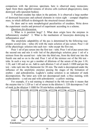 50
comparison with the previous specimen, here is observed many monocytes.
Apart from them engulfed remains of diverse cells (cultural phagocytosis), many
destroyed cells (purulent bodies).
3. Purulent exudate has taken in the patients. It is observed a large number
of destroyed leucocytes and cultural elements in vision sight – compact shapeless
mass, in which difficult to distinguish the structural tissues elements.
To draw and to note morphological peculiarities of exudates. Write down
the experiment results and protocol of experiment according to a scheme.
Questions for discussion.
1. What is it purulent bogy? 2. What does origin have the enzymes in
inflammatory exudate? 3. What is the mechanism of leucocytes destroying in
inflammation area?
The amylolytic adaptability of the pus is determined by the following way:
prepare several tests - tubes (8) with the main solution of pus serum. Pour 1 ml
of the physiologic solution into each test - tube except the first one.
Pour 1 ml of pus serum into the first test - tube. Pour 1 ml of pus serum into
the second one and mix it with 1ml of the physiologic solution; pour 1 ml of a
mixture from the second test - tube into the third one, from the third one into the
fourth one and so on to the end. Pour 1 ml of the mixture out of the 8th test -
tube. In such a way we get a number of dilutions of the serum of the pus 1:10,
1:20, and 1:40 and so on. Add to each dilution 5 ml of starch 1:1000 and put the
test - tube rack into the thermostat for 30 min. The stark is decomposed under the
influence of the amylolytic enzymes passing the stages of the formation of
erythro - and achrodextrins. Lughole’s iodine solution is an indicator of stark
decomposition. The latter acts with not decomposed stark -a blue staining, with
erythrodextrin - a red one and with achrodextrin - a yellow staining.
For example, if a red staining is obtained in the 6th test-tube it means that
the enzyme titer is 1.320 as 1 ml of serum in the dilution 1: 320 decomposes 5 ml
of stark in the dilution 1:1000 for 30 min before erythrodextrins.
1:10 1:20 1:40 1:80 1:160 1:320 1:640 1:1280
Conclusion: ____________________________________________________________
______________________________________________________________________
 