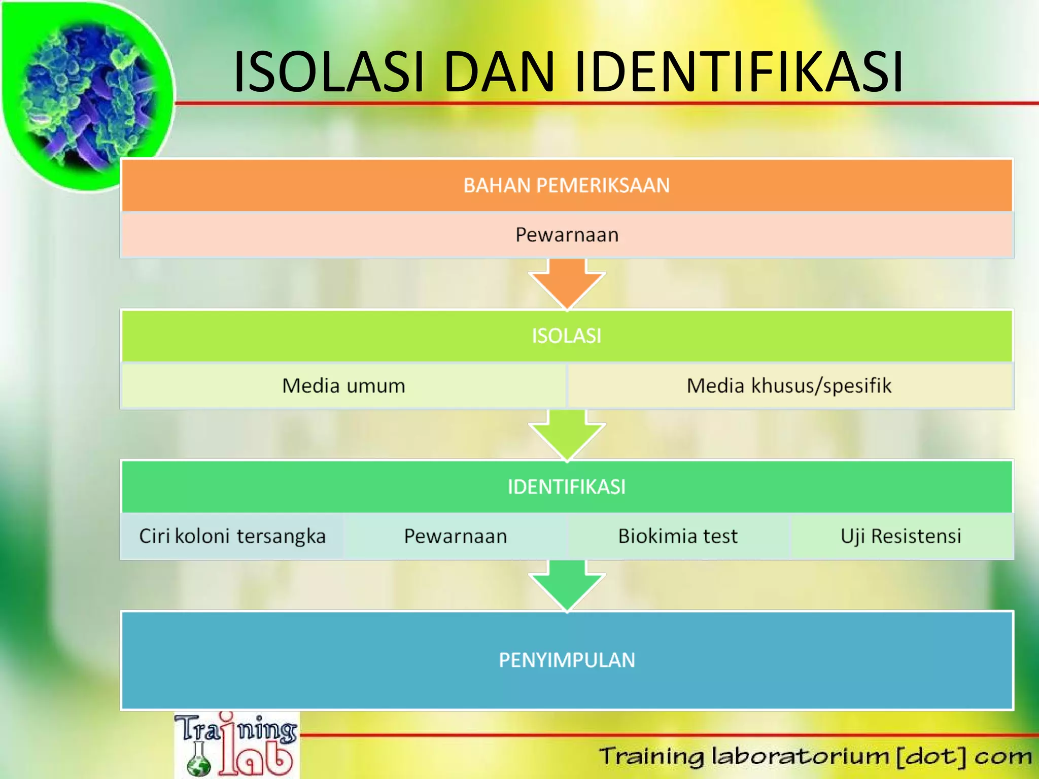 ISOLASI DAN IDENTIFIKASI
 