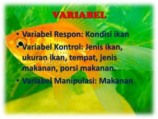 • Variabel Respon: Kondisi ikan
• Variabel Kontrol: Jenis ikan,
  ukuran ikan, tempat, jenis
  makanan, porsi makanan.
• Variabel Manipulasi: Makanan
 
