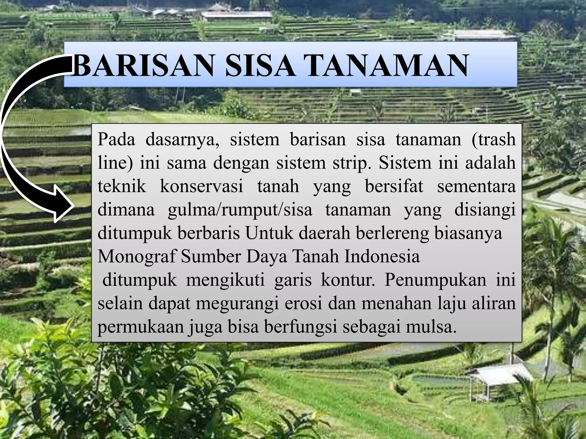 Metode konservasi tanah secara vegetatif | PPTX