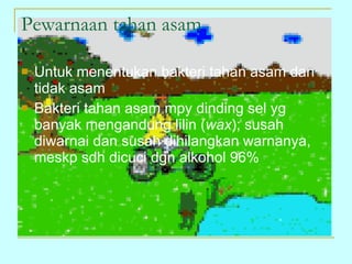 Pewarnaan tahan asam Untuk menentukan bakteri tahan asam dan tidak asam Bakteri tahan asam mpy dinding sel yg banyak mengandung lilin ( wax ); susah diwarnai dan susah dihilangkan warnanya, meskp sdh dicuci dgn alkohol 96% 