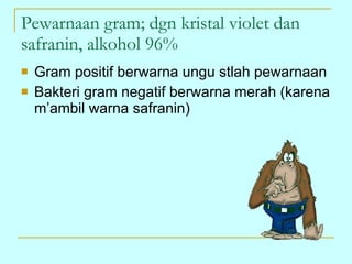 Pewarnaan gram; dgn kristal violet dan safranin, alkohol 96% Gram positif berwarna ungu stlah pewarnaan Bakteri gram negatif berwarna merah (karena m’ambil warna safranin) 