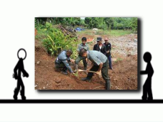 Metode Pengawetan Tanah Dengan Cara Menanam Tanaman Di