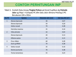 Rumus Inp Metode dan Teknik Analisis Vegetasi Hutan: Jalur, Plot, dan Kombinasi ...