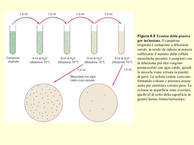Metodi di conta batterica