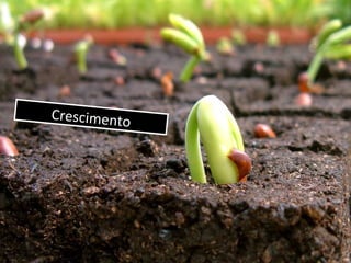 CrescimentoCrescimento
 