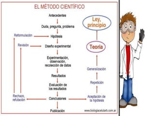 Metodo empirico y cientifico