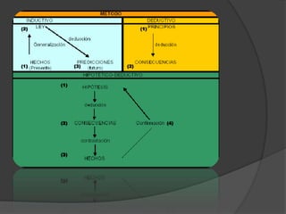 Metodo empirico y cientifico