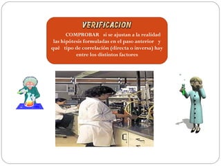      COMPROBAR  si se ajustan a la realidad
las hipótesis formuladas en el paso anterior  y
qué  tipo de correlación (directa o inversa) hay
entre los distintos factores
 
