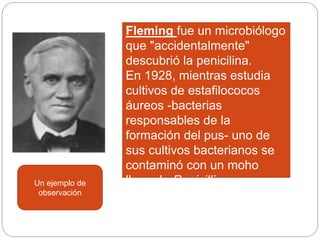 Fleming fue un microbiólogo
que "accidentalmente"
descubrió la penicilina.
En 1928, mientras estudia
cultivos de estafilococos
áureos -bacterias
responsables de la
formación del pus- uno de
sus cultivos bacterianos se
contaminó con un moho
llamado Penicillium.
Un ejemplo de
observación
 