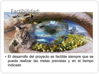 Factibilidad:
 El desarrollo del proyecto es factible siempre que se
pueda realizar las metas previstas y en el tiempo
indicado
 