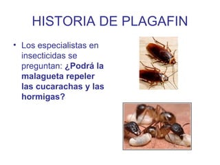 HISTORIA DE PLAGAFIN <ul><li>Los especialistas en insecticidas se preguntan:  ¿Podrá la malagueta repeler las cucarachas y...