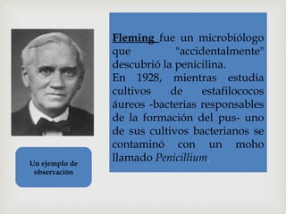  
Fleming fue un microbiólogo
que "accidentalmente"
descubrió la penicilina.
En 1928, mientras estudia
cultivos de estafilococos
áureos -bacterias responsables
de la formación del pus- uno
de sus cultivos bacterianos se
contaminó con un moho
llamado Penicillium.
Un ejemplo de
observación
 