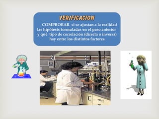      COMPROBAR  si se ajustan a la realidad
las hipótesis formuladas en el paso anterior 
y qué  tipo de correlación (directa o inversa)
hay entre los distintos factores
 