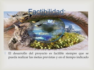 
 El desarrollo del proyecto es factible siempre que se
pueda realizar las metas previstas y en el tiempo indicado
Factibilidad:
 
