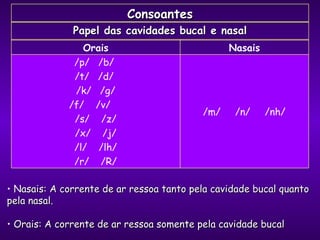 Nasais: A corrente de ar ressoa tanto pela cavidade bucal quanto pela nasal. Orais: A corrente de ar ressoa somente pela cavidade bucal Consoantes Papel das cavidades bucal e nasal Orais Nasais /p/  /b/  /t/  /d/  /k/  /g/ /f/  /v/  /s/  /z/ /x/  /j/ /l/  /lh/ /r/  /R/ /m/  /n/  /nh/ 