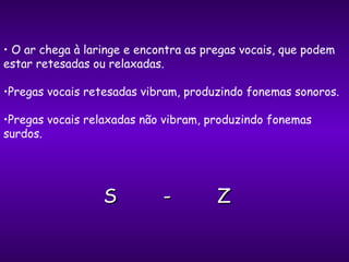 S  -  Z O ar chega à laringe e encontra as pregas vocais, que podem estar retesadas ou relaxadas. Pregas vocais retesadas vibram, produzindo fonemas sonoros. Pregas vocais relaxadas não vibram, produzindo fonemas surdos. 