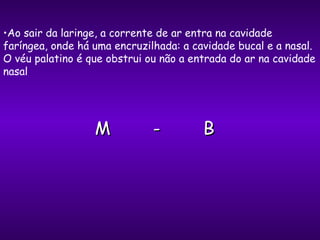 Ao sair da laringe, a corrente de ar entra na cavidade faríngea, onde há uma encruzilhada: a cavidade bucal e a nasal. O véu palatino é que obstrui ou não a entrada do ar na cavidade nasal M  -  B 