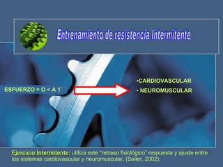 Entrenamiento de resistencia Intermitente ESFUERZO = O < A 1´ <ul><li>CARDIOVASCULAR </li></ul><ul><li>NEUROMUSCULAR </li>...