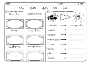 CQ05.FECHA:NOMBRE:
Lee, copia y dibuja. Fíjate en el ejemplo y completa.
ca que qui co cu
bacalao campana
campo capitán
castaña campesino
mosca mosquito
vaca
casco
muñeca
caca
boca
pico
disco
 