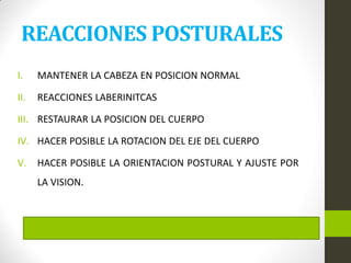 REACCIONES POSTURALES
I. MANTENER LA CABEZA EN POSICION NORMAL
II. REACCIONES LABERINITCAS
III. RESTAURAR LA POSICION DEL CUERPO
IV. HACER POSIBLE LA ROTACION DEL EJE DEL CUERPO
V. HACER POSIBLE LA ORIENTACION POSTURAL Y AJUSTE POR
LA VISION.
 