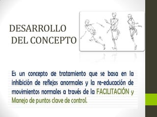 DESARROLLO
DEL CONCEPTO
 