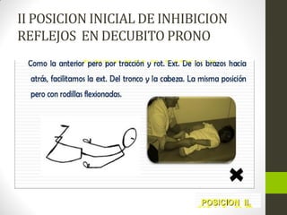 II POSICION INICIAL DE INHIBICION
REFLEJOS EN DECUBITO PRONO
 