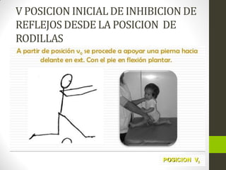 V POSICION INICIAL DE INHIBICION DE
REFLEJOS DESDE LA POSICION DE
RODILLAS
 