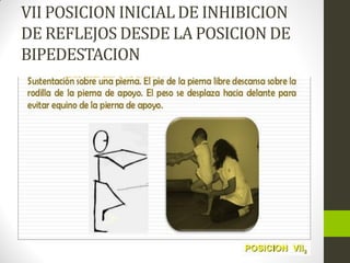 VII POSICION INICIAL DE INHIBICION
DE REFLEJOS DESDE LA POSICION DE
BIPEDESTACION
 